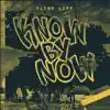 Eliot Lipp - Know By Now - Single